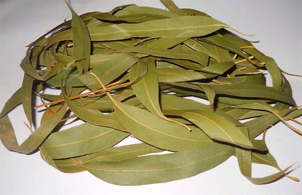 Eucalyptus ( herbs ) - 1 kilos - Copper Pro