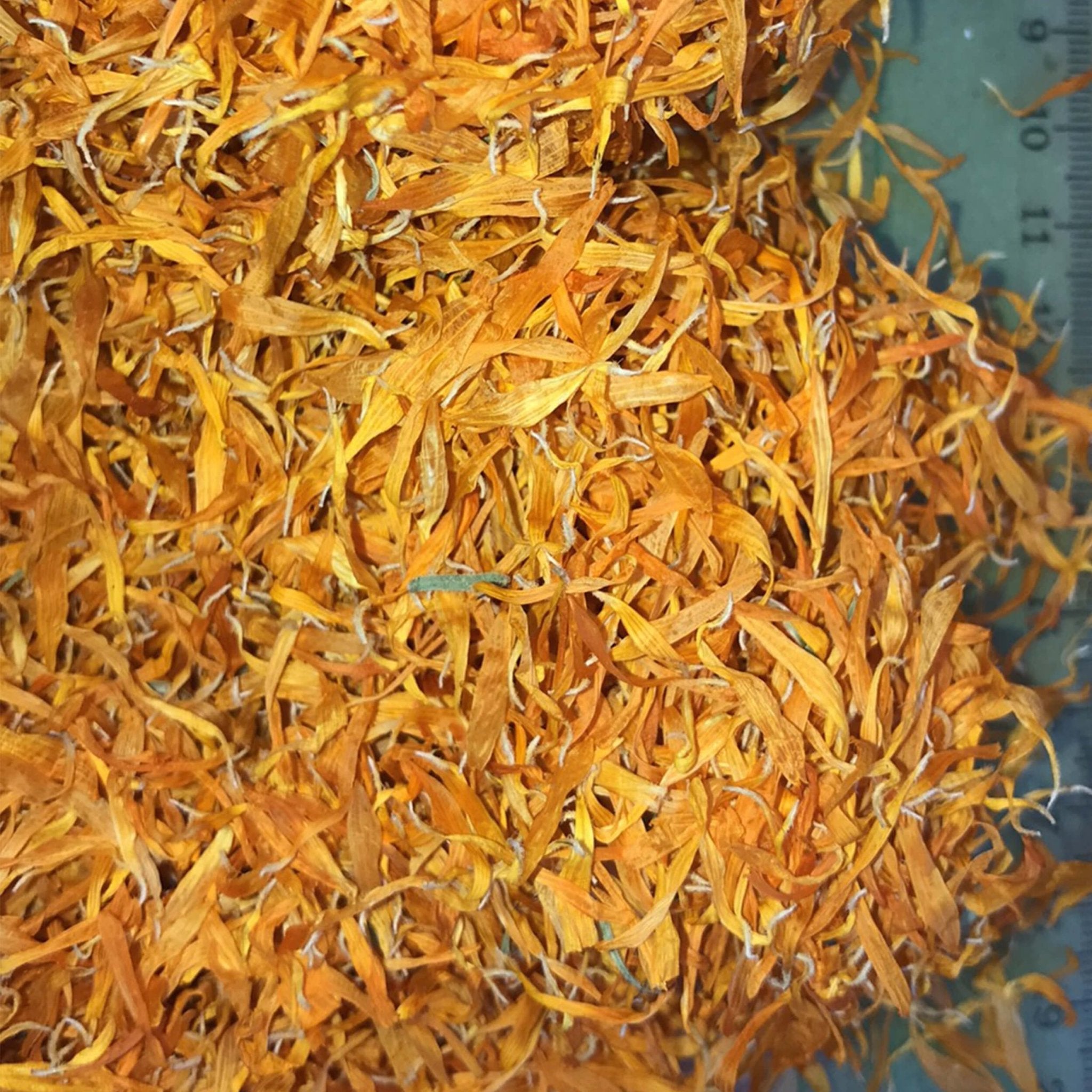 Marigold ( light petals ) - 1 kilos - Copper Pro