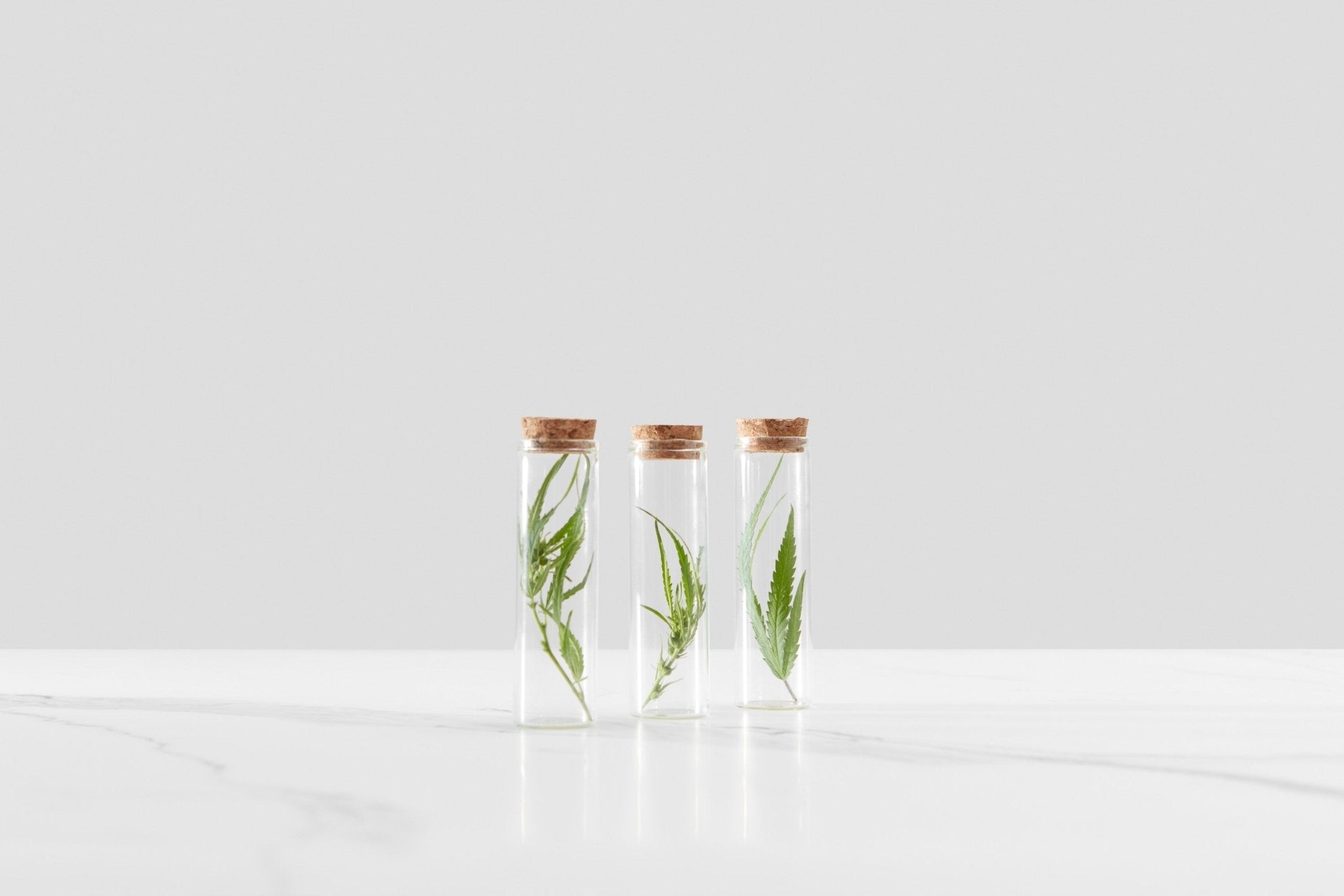Hydrosols – What They Are and How to Use Them - Copper Pro