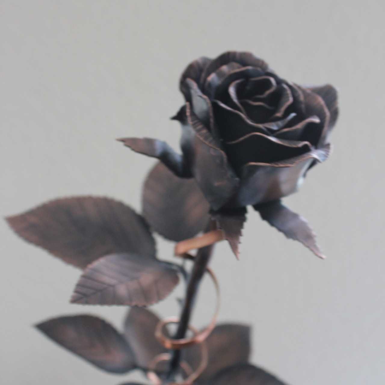 Copper Painted Rose - Copper Pro