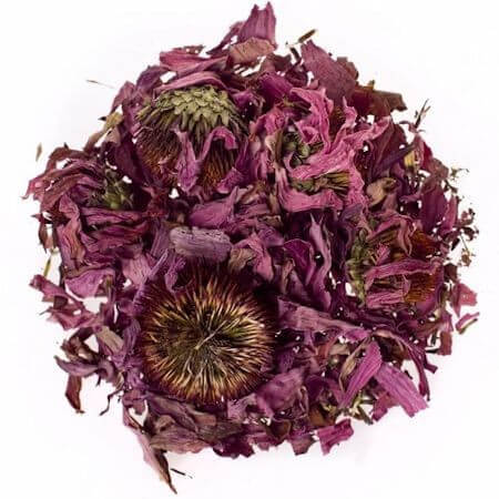 Echinacea flowers - 1 kilos - Copper Pro