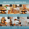 Essential Oil Distiller 1.3G (5L) | column 0.53G+0.53G (2L+2L) - Advanced Kit