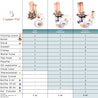 Essential Oil Distiller 1.3G (5L) | column 0.53G (2L) - Premium Kit